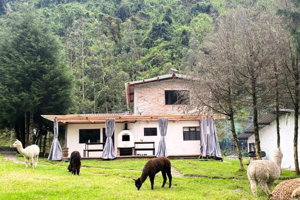 Vila Casa De Campo Papallacta En Reserva Natural Privada Exteriér fotografie